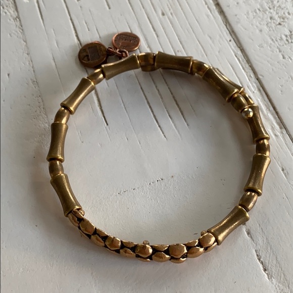 Alex and Ani Gold Bracelet - Picture 1 of 1